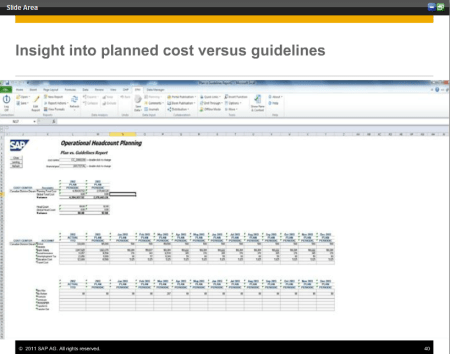 SAP BPC para RDS (40) - Layout - Report