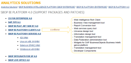 Opciones disponibles en SAP Marketplace para descargar las actualizaciones de BI4
