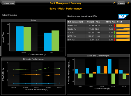 Visualización de un documento Web Intelligence en el iPad