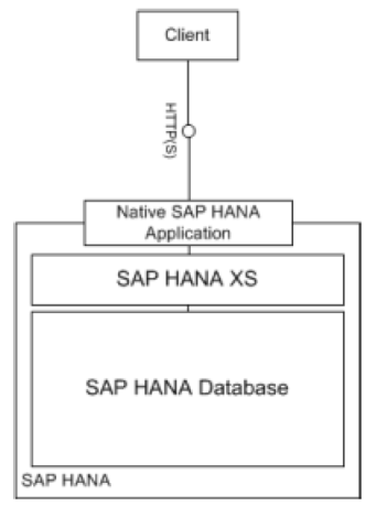 SAP HANA como plataforma de aplicaciones nativas