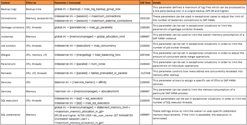 Restrcciones SAP HANA parametrizables